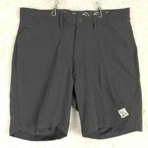 Trunks Mens‎ Shorts 360 Land To Water Iron Gray Stretch Swim Surf 30 New